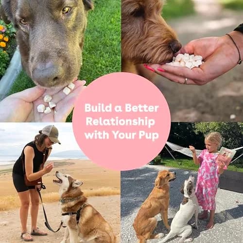 Pupford Freeze Dried Dog & Puppy Training Treats Sweet Potato | All Natural, Low Calorie, 4 oz thumbnail 6
