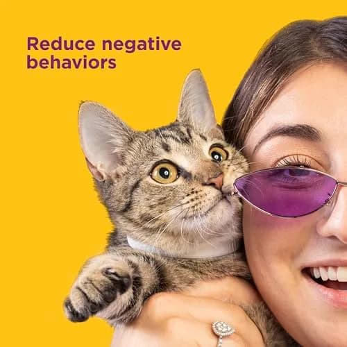 Comfort Zone Cat Calming Collar Savings Pack, 2 x 30-Day Collars | Drug-Free Anxiety Relief for Cats thumbnail 4