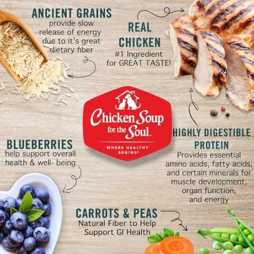 Chicken Soup for the Soul Natural Small Bites Adult Dog Food 13.5lb | Supports Gut & Immunity thumbnail 4