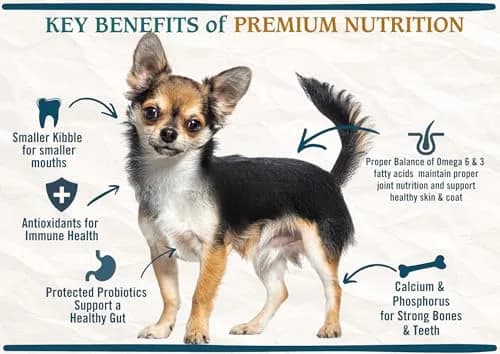 Chicken Soup for the Soul Natural Small Bites Adult Dog Food 13.5lb | Supports Gut & Immunity thumbnail 5