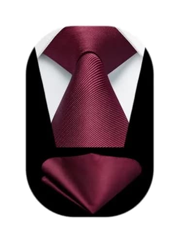HISDERN Mens Burgundy Ties & Pocket Square Set | Classic Satin Silk Formal Neckwear (3.35 inch x 59 inch) thumbnail 1