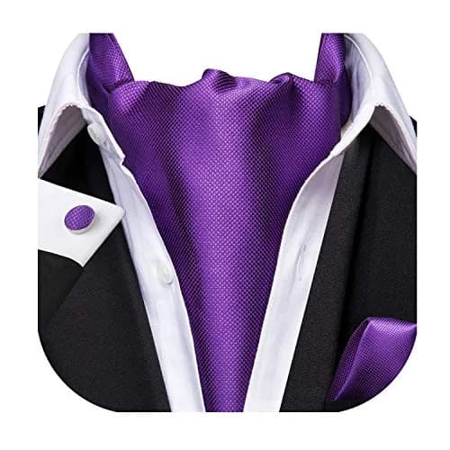 Dubulle Paisley Floral Ascot Set for Men with Pocket Square & Cufflinks, Solid Purple | Self-Tie Cravat thumbnail 1