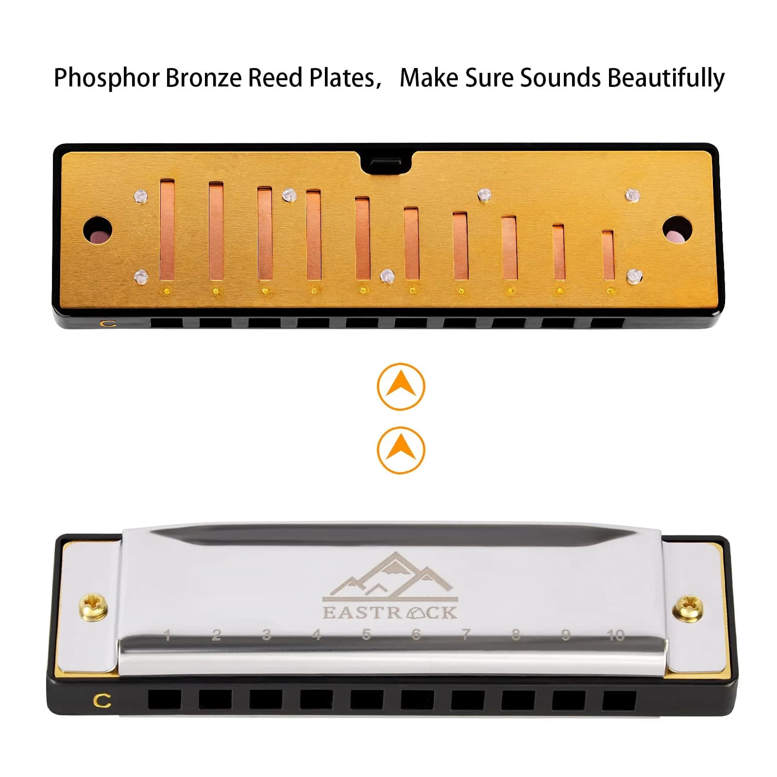 EASTROCK 10 Hole Blues Harmonica C Key Silver with Case | Diatonic Mouth Organ Phosphor Bronze Reeds - view 2