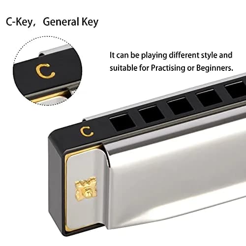 EASTROCK 10 Hole Blues Harmonica C Key Silver with Case | Diatonic Mouth Organ Phosphor Bronze Reeds thumbnail 3