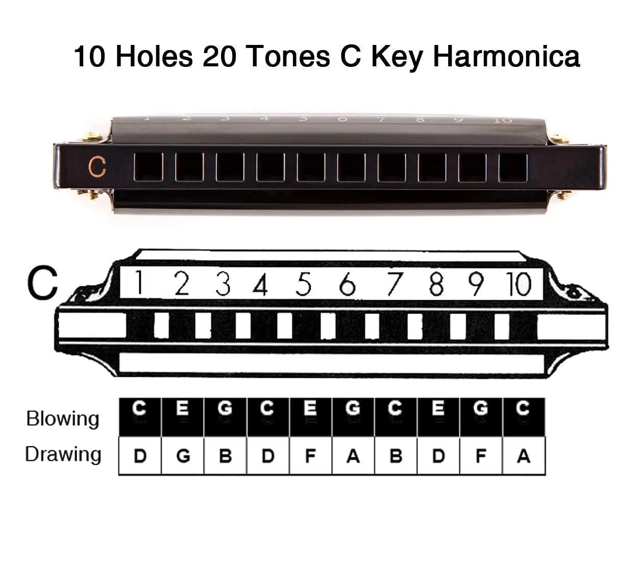 EASTROCK 10 Hole Blues Harmonica C Key Silver with Case | Diatonic Mouth Organ Phosphor Bronze Reeds - view 4