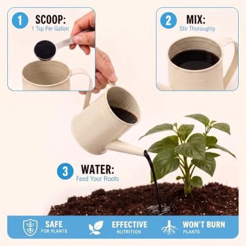 Big Foot Mycorrhizae Concentrate (10 lb) | Long-Lasting Soil & Plant Boost for Gardens & Lawns thumbnail 4