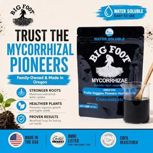 Big Foot Mycorrhizae Concentrate (10 lb) | Long-Lasting Soil & Plant Boost for Gardens & Lawns thumbnail 7