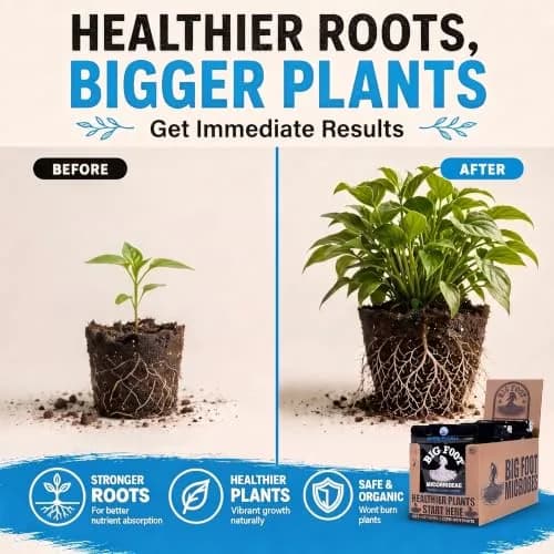 Big Foot Mycorrhizae Concentrate (10 lb) | Long-Lasting Soil & Plant Boost for Gardens & Lawns thumbnail 2