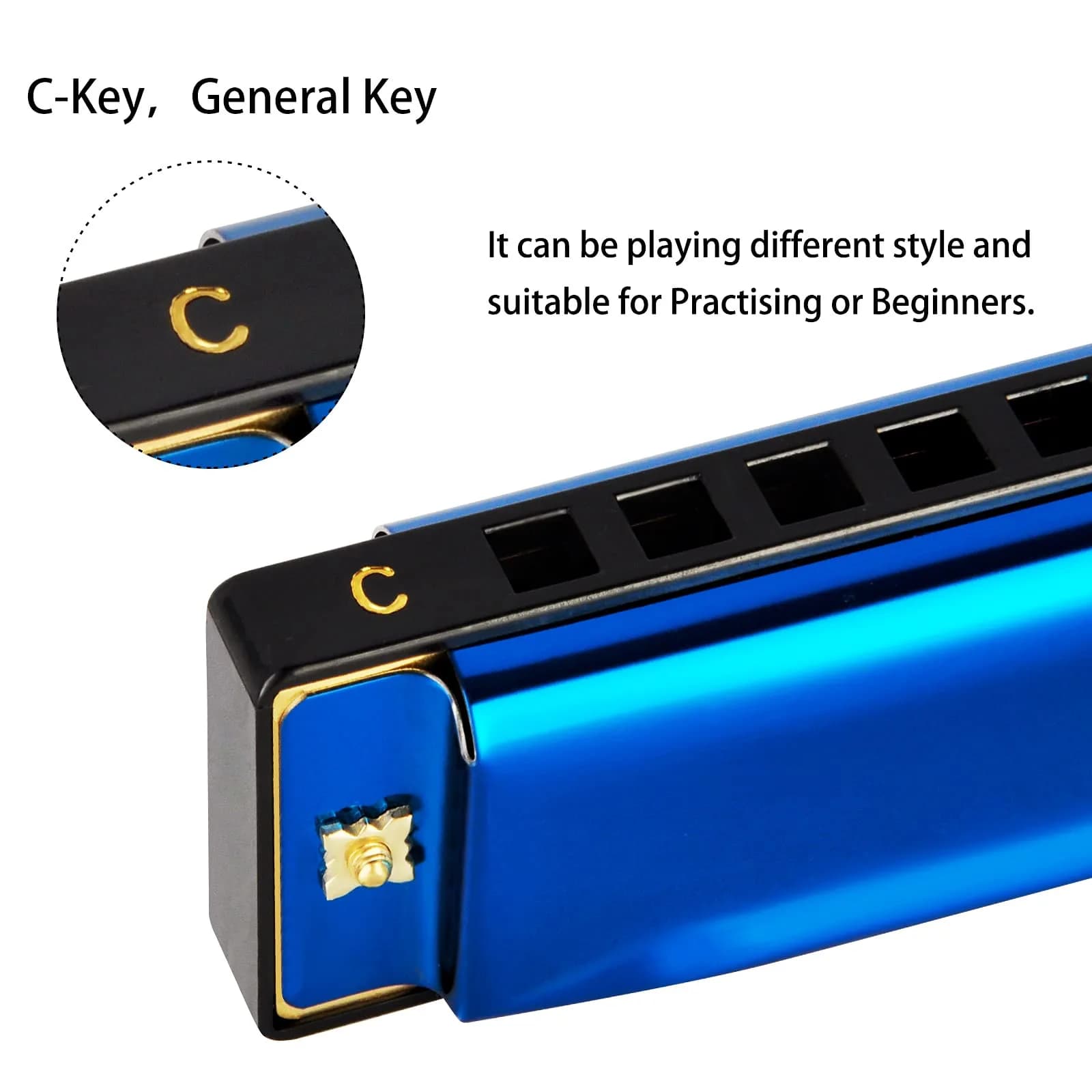 EASTROCK 10 Hole Blues Harmonica C Key Blue with Case | Diatonic Mouth Organ Phosphor Bronze Reeds - view 2