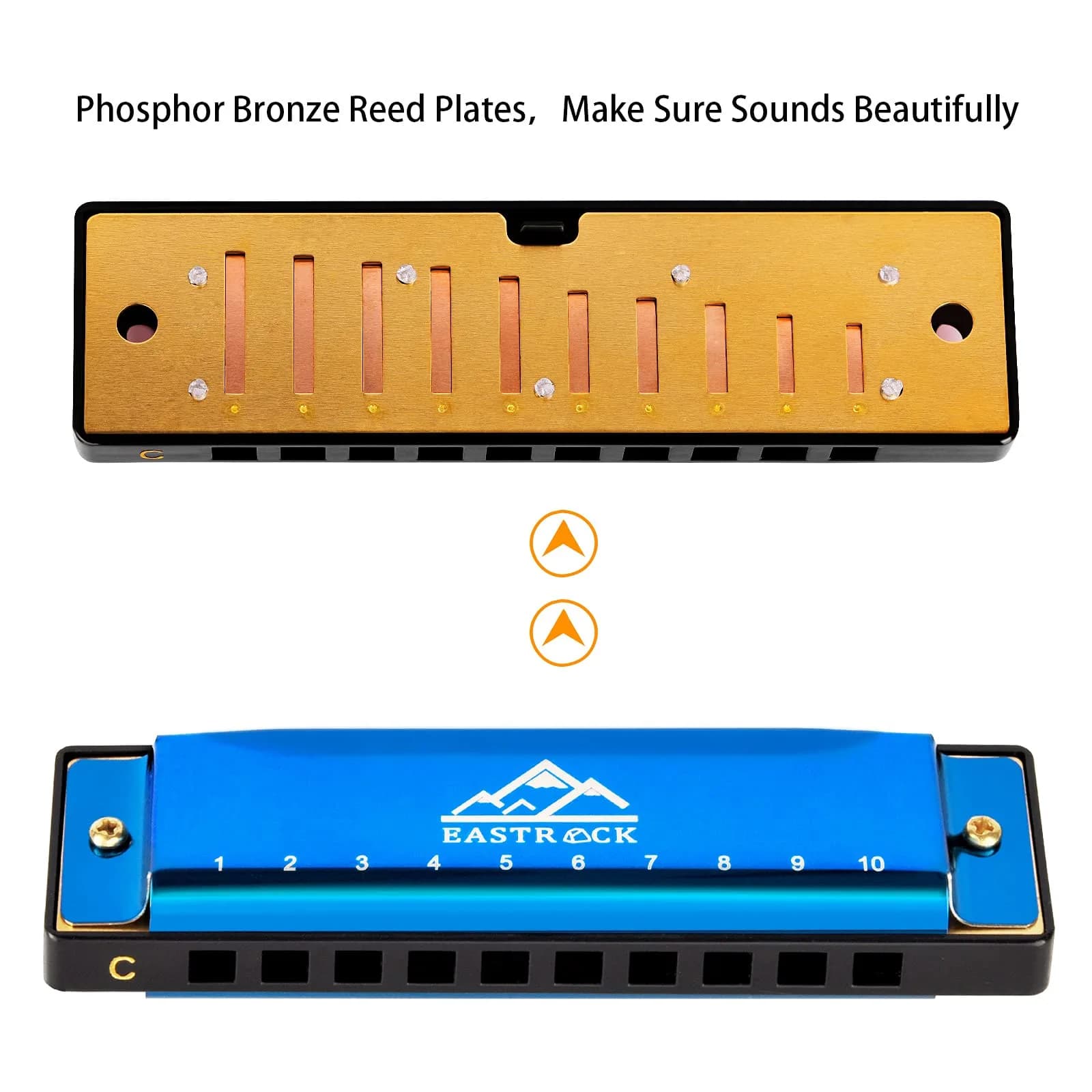 EASTROCK 10 Hole Blues Harmonica C Key Blue with Case | Diatonic Mouth Organ Phosphor Bronze Reeds - view 3