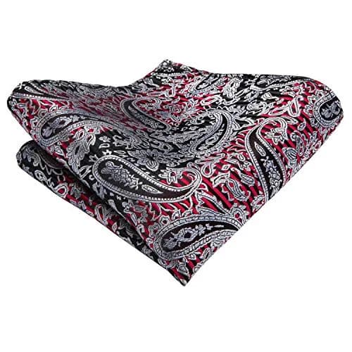 Dubulle Black Grey Red Paisley Ascot Tie Set with Pocket Square & Cufflinks | Men's Formal Business Wedding Accessory thumbnail 7