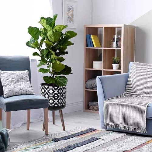 D'vine Dev Planter Pot with Wood Stand 12 in | Mid-Century Modern Indoor Plant Display thumbnail 5