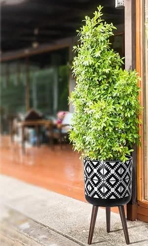 D'vine Dev Planter Pot with Wood Stand 12 in | Mid-Century Modern Indoor Plant Display thumbnail 6