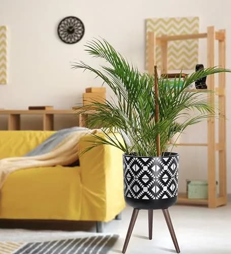 D'vine Dev Planter Pot with Wood Stand 14 in | Mid-Century Modern Indoor Plant Display thumbnail 5