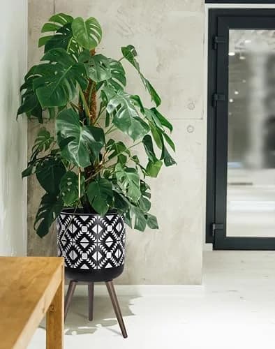 D'vine Dev Planter Pot with Wood Stand 14 in | Mid-Century Modern Indoor Plant Display thumbnail 6