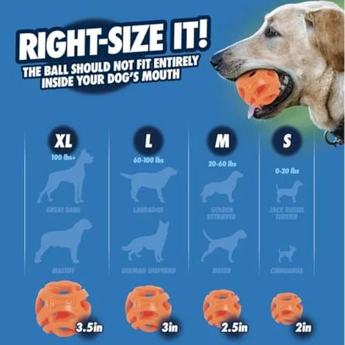 Chuckit! Air Fetch Football Dog Toy, Orange | Breathable, Buoyant & Suitable for All Breeds thumbnail 6