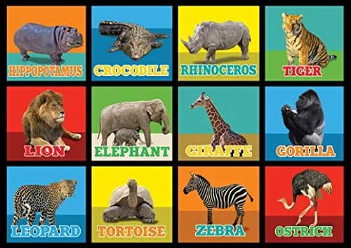 KIDCARPET.COM Animal Picture Squares 6' x 8'6" Rectangle Area Rug | Realistic Animal Photos for Kids' Room thumbnail 1