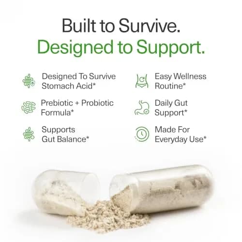 BIOptimizers Probiotic Breakthrough Gut & Digestive Support, 60 Capsules | Supports Gut, Immunity & Brain Balance thumbnail 2