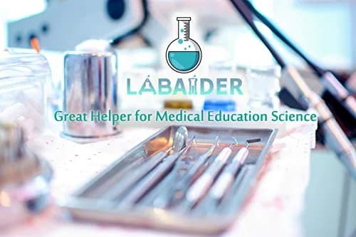LabAider Stainless Steel Dental Procedure Tray 21.9 cm (8.6") | 3-Pack Flat Type for Medical & Lab Use thumbnail 6