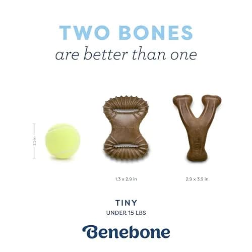 Benebone Puppy 2-Pack Dental Chew/Wishbone Dog Chew Toys, Real Bacon | Durable Nylon Chew for Puppies thumbnail 4