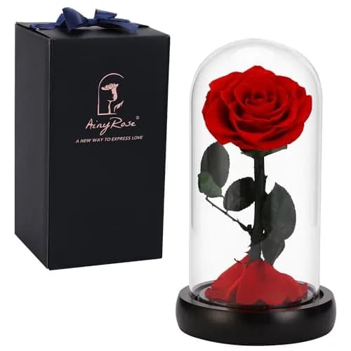 SW Forever Preserved Rose in Glass Dome, Red | Eternal Rose for Gifting thumbnail 1