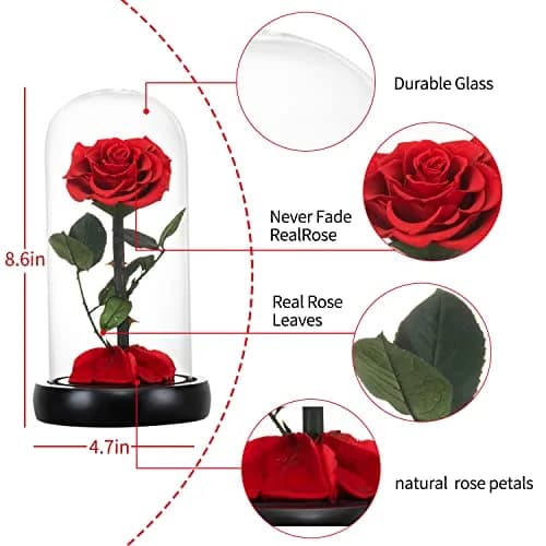 SW Forever Preserved Rose in Glass Dome, Red | Eternal Rose for Gifting thumbnail 6
