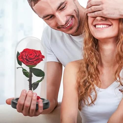 SW Forever Preserved Rose in Glass Dome, Red | Eternal Rose for Gifting thumbnail 2