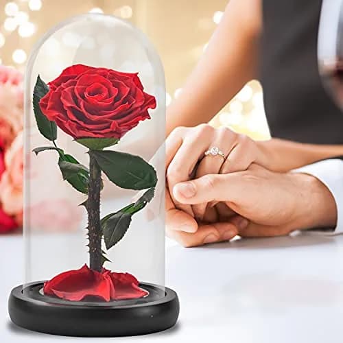 SW Forever Preserved Rose in Glass Dome, Red | Eternal Rose for Gifting thumbnail 3