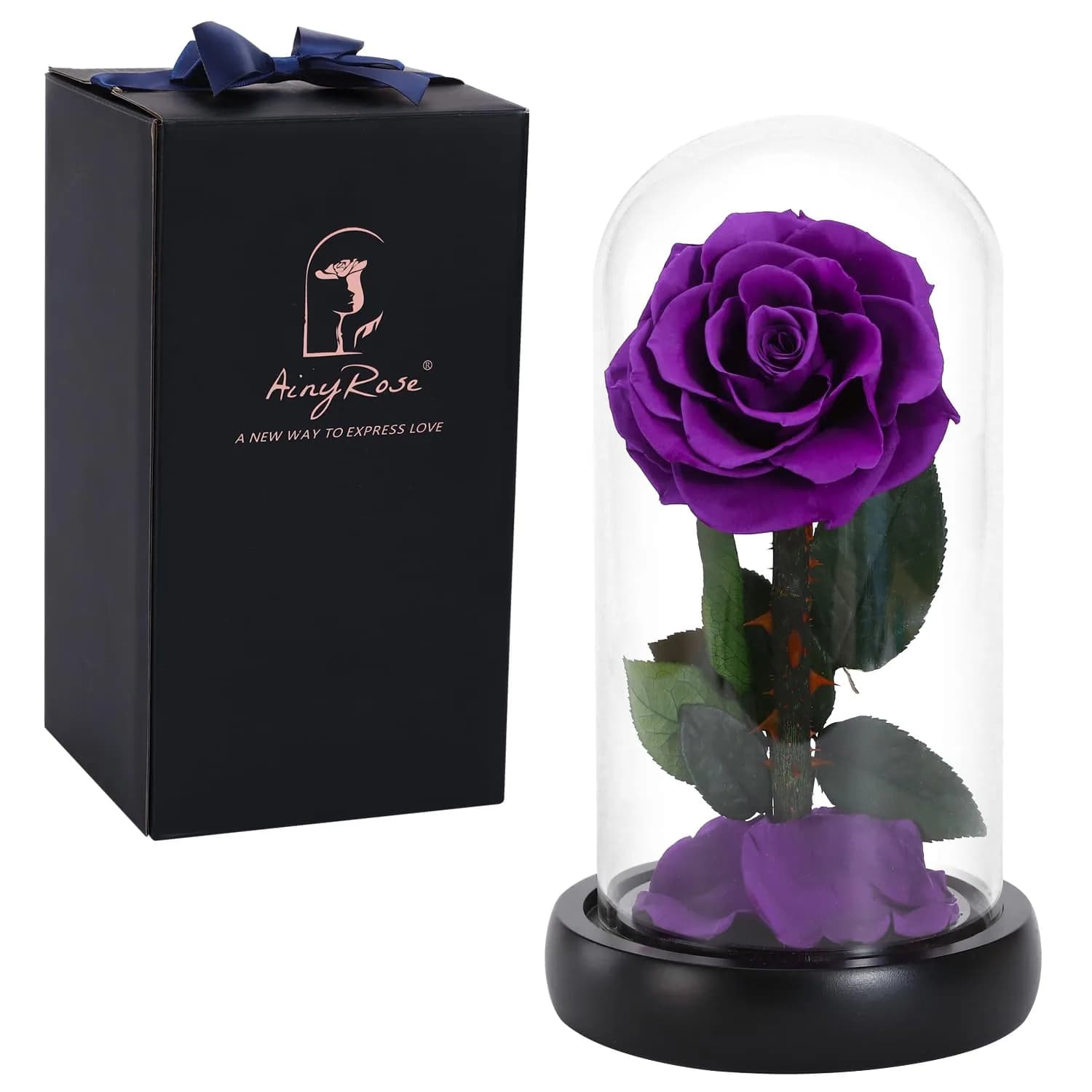 SW Preserved Real Rose Flower in Glass Dome | Romantic Gift for Women in Her Birthday & Anniversary