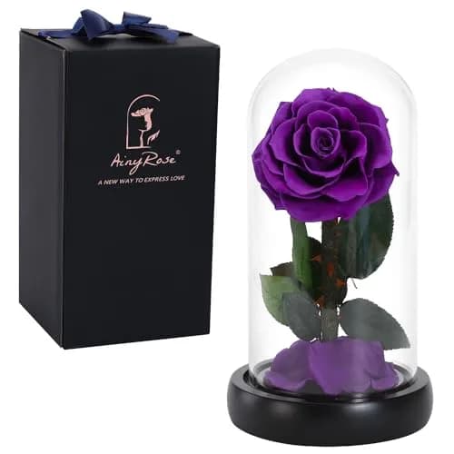 SW Preserved Real Rose Flower in Glass Dome | Romantic Gift for Women in Her Birthday & Anniversary thumbnail 1