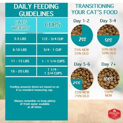 Chicken Soup for the Soul Indoor Cat Food 4.5lb | Supports Hairball & Digestive Health thumbnail 8
