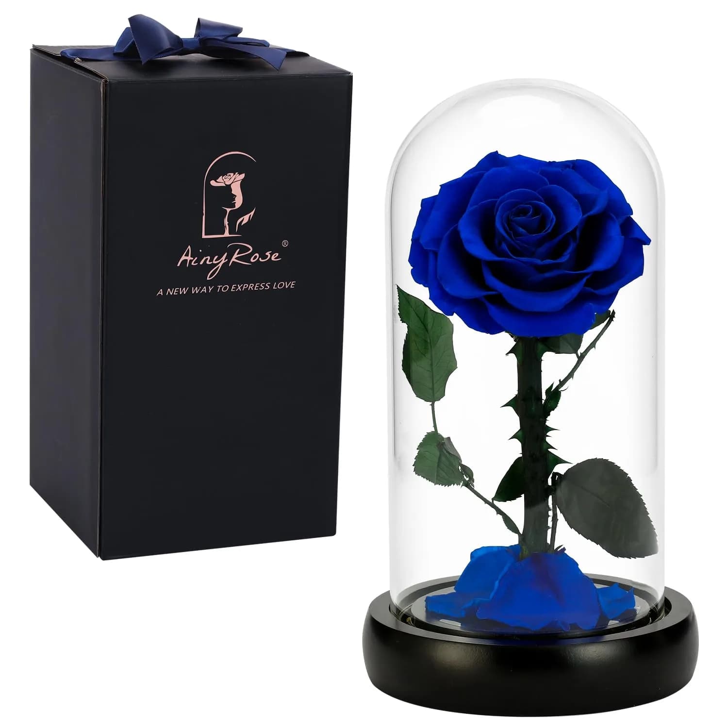 SW Forever Preserved Real Rose Flower in Glass Dome with Gift Box | Blue Eternal Rose for Mom Women, Valentine's Day, Anniversary - main product image
