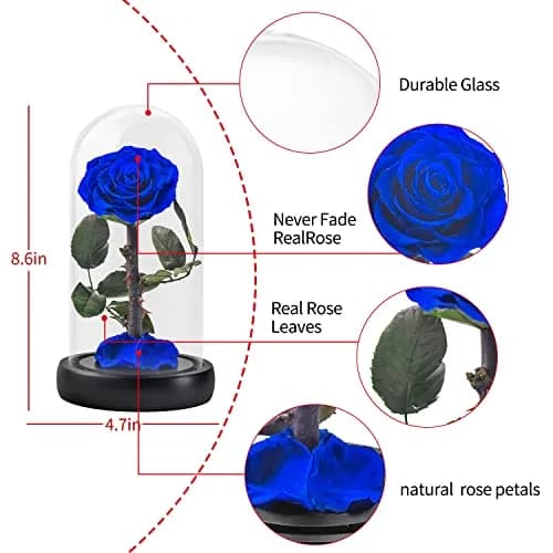 SW Forever Preserved Real Rose Flower in Glass Dome with Gift Box | Blue Eternal Rose for Mom Women, Valentine's Day, Anniversary thumbnail 7