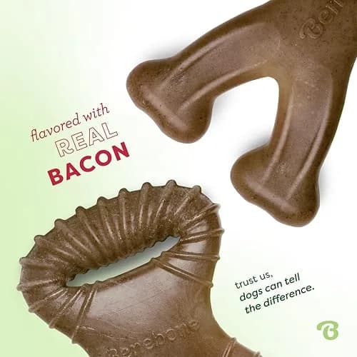 Benebone Tiny 2-Pack Dog Chew Toys, Real Bacon Flavor | Durable Nylon for Small Dogs thumbnail 2