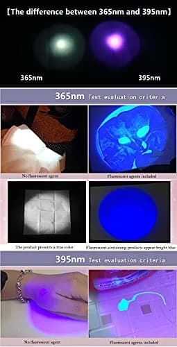 DARKBEAM UV 365nm & 395nm Dual Black Light Woods lamp Blacklight Flashlight | Detects Stains & Currency thumbnail 4