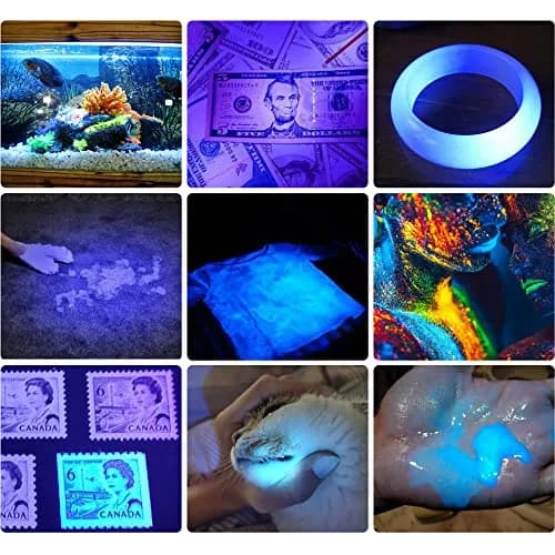DARKBEAM UV 365nm & 395nm Dual Black Light Woods lamp Blacklight Flashlight | Detects Stains & Currency thumbnail 2