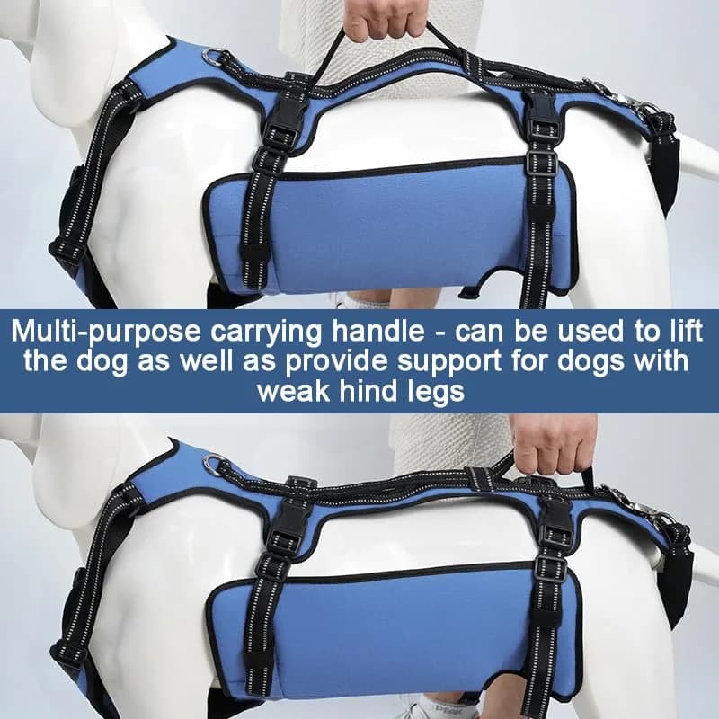Coodeo Blue Dog Lift Harness for Hind Legs Support & Rehabilitation, Medium Size | Breathable Mesh Sling for Old, Injured, Disabled Dogs - view 6
