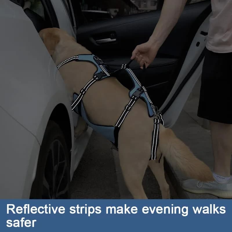 Coodeo Blue Dog Lift Harness for Hind Legs Support & Rehabilitation, Medium Size | Breathable Mesh Sling for Old, Injured, Disabled Dogs - view 7