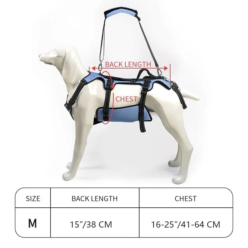Coodeo Blue Dog Lift Harness for Hind Legs Support & Rehabilitation, Medium Size | Breathable Mesh Sling for Old, Injured, Disabled Dogs thumbnail 5