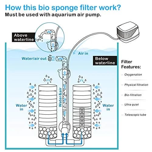 Hygger Aquarium Double Sponge Filter 6" x 9-13" | Bio & Physical Filtration for Fish Tanks thumbnail 7