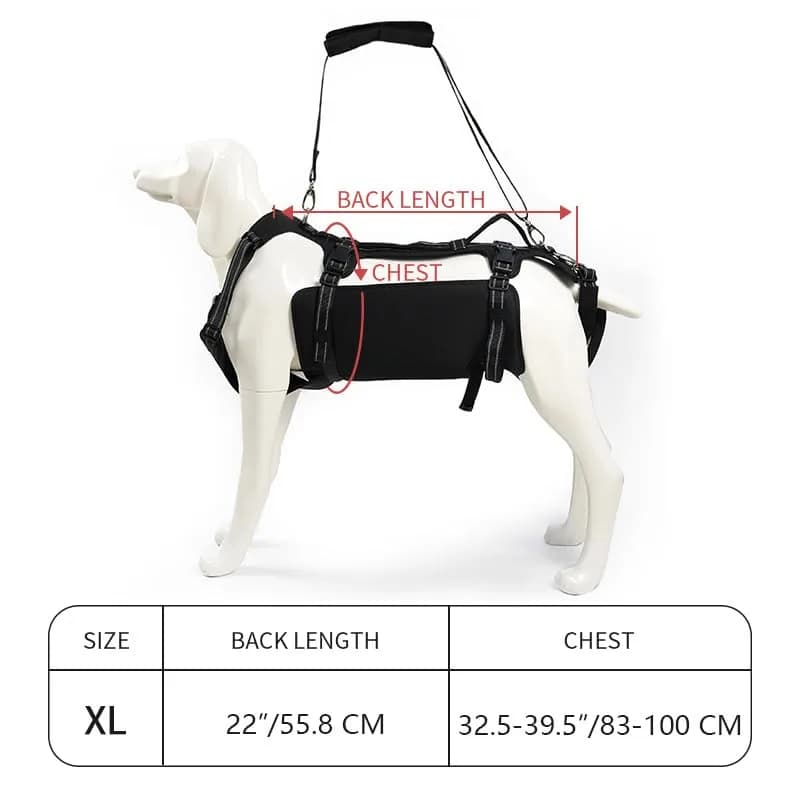 Coodeo Dog Lift Harness Full Body Support Sling for Old Dogs with Arthritis XL Blue | Dog Rehabilitation Vest for Stairs & Cars - view 5