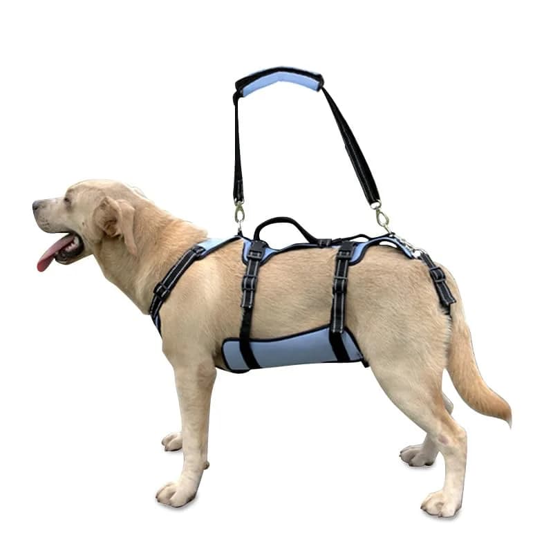 Coodeo Dog Lift Harness Full Body Support Sling for Large Dogs | Breathable Polyester Blend Blue L - main product image