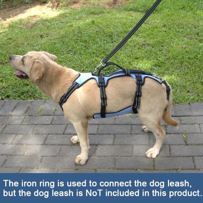 Coodeo Dog Lift Harness Full Body Support Sling for Large Dogs | Breathable Polyester Blend Blue L - view 4