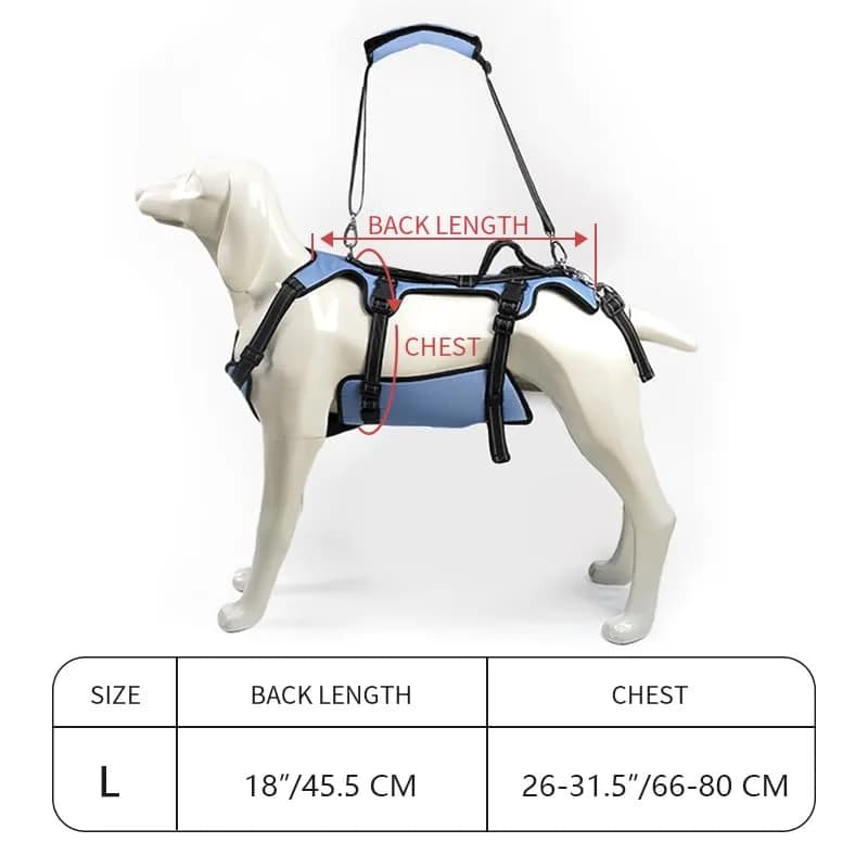 Coodeo Dog Lift Harness Full Body Support Sling for Large Dogs | Breathable Polyester Blend Blue L thumbnail 5