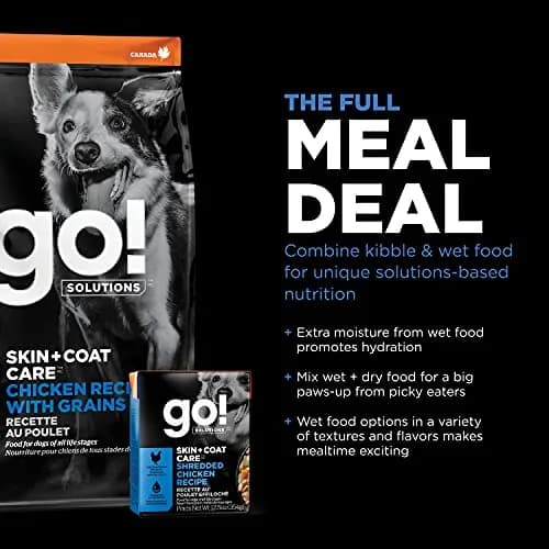 Go! Solutions Skin + Coat Care Chicken Dry Dog Food, 3.5 lb | Supports Healthy Skin & Shiny Coat thumbnail 7