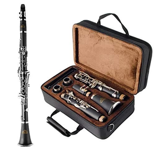 EASTROCK Bb Clarinet 17 Keys ABS Material | Beginner & Student-Friendly, Durable (70-120 chars) thumbnail 1