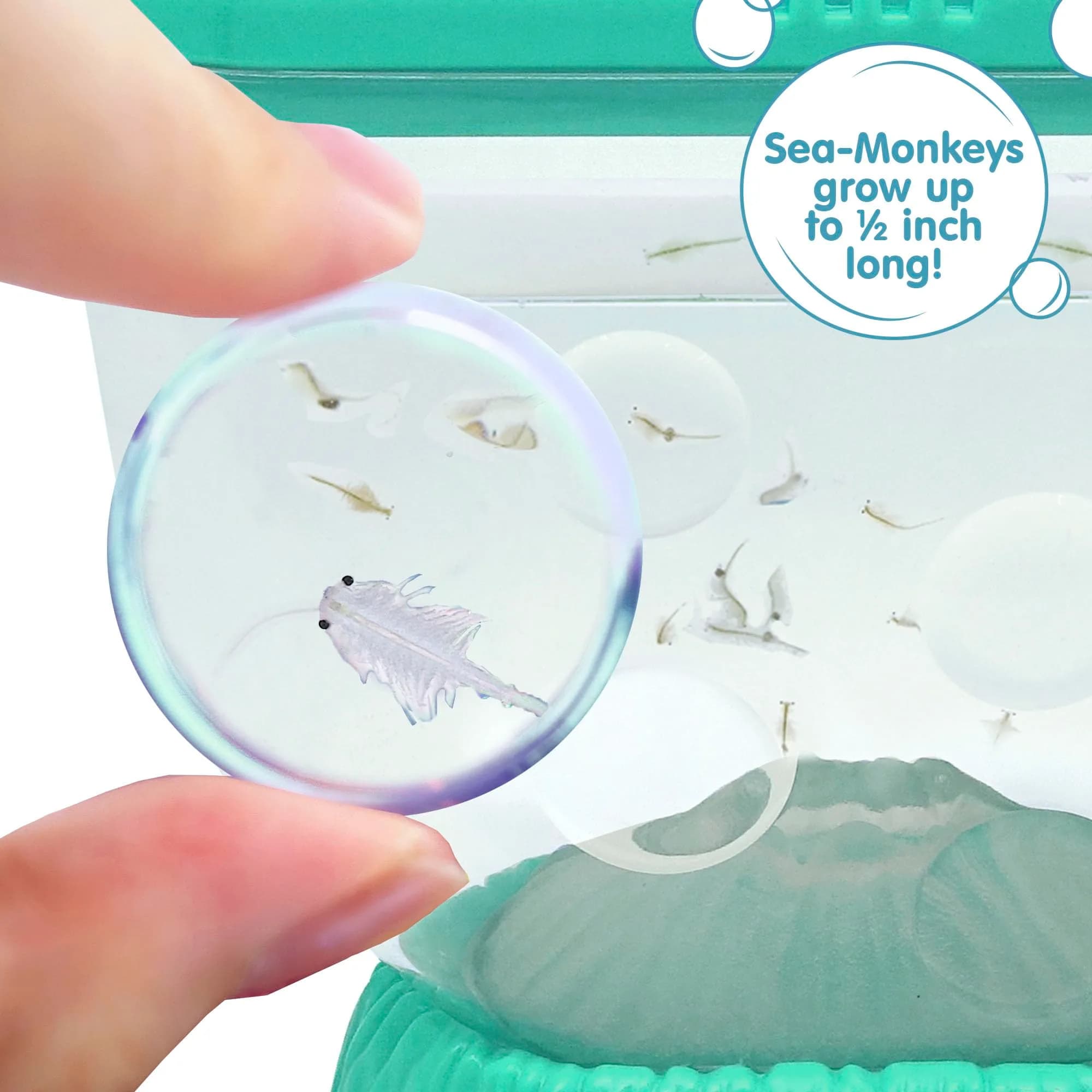 Sea Monkeys Ocean Volcano Instant Pets Kit | Ages 6+ (1 Pack, Blue) - view 5