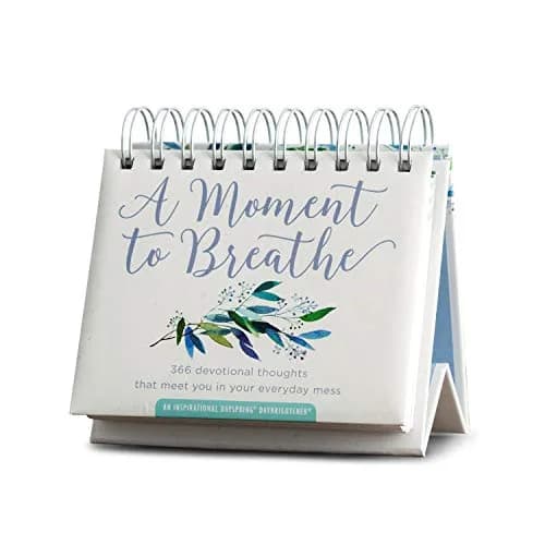 DaySpring A Moment To Breathe Perpetual Calendar 13.97 cm (5.5") | Daily Devotional Thoughts for Everyday Mess thumbnail 1
