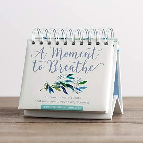 DaySpring A Moment To Breathe Perpetual Calendar 13.97 cm (5.5") | Daily Devotional Thoughts for Everyday Mess thumbnail 2