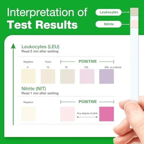 Easy@Home Urinary Tract Infection Test Strips 25 Pack | Detects Leukocytes & Nitrites for Women thumbnail 6